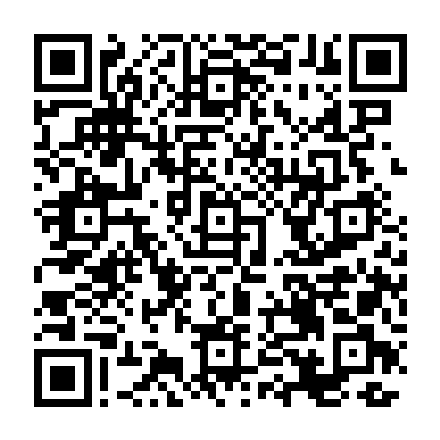 Pix QR code